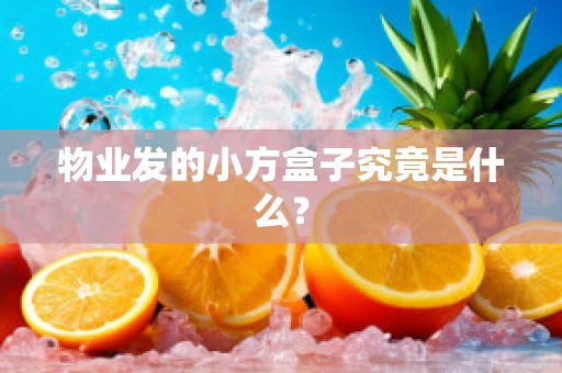 物业发的小方盒子究竟是什么？