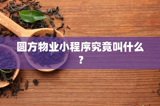 圆方物业小程序究竟叫什么？