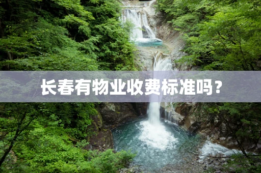 长春有物业收费标准吗？