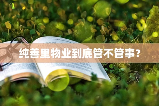纯善里物业到底管不管事？