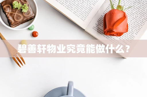 碧善轩物业究竟能做什么？