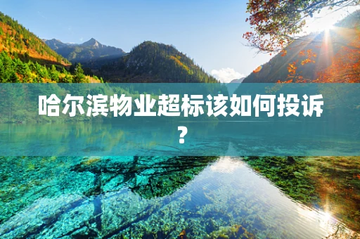 哈尔滨物业超标该如何投诉？
