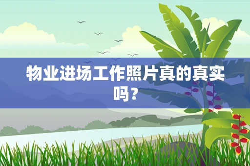 物业进场工作照片真的真实吗？