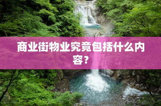 商业街物业究竟包括什么内容？