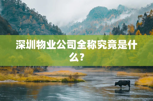 深圳物业公司全称究竟是什么？