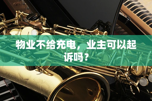 物业不给充电，业主可以起诉吗？