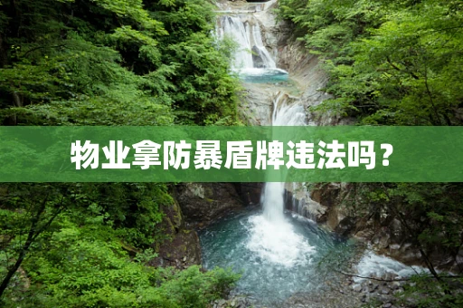 物业拿防暴盾牌违法吗？