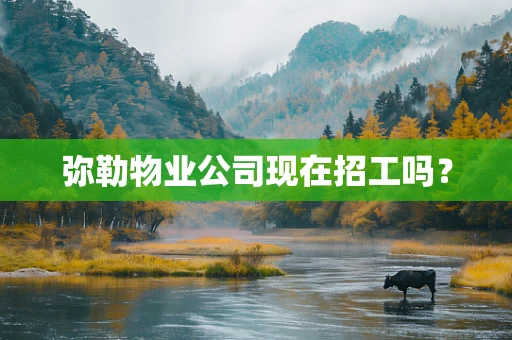 弥勒物业公司现在招工吗？