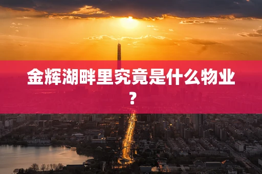 金辉湖畔里究竟是什么物业？