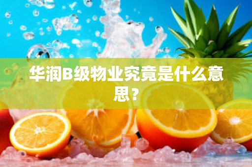 华润B级物业究竟是什么意思？