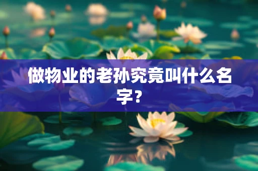 做物业的老孙究竟叫什么名字？