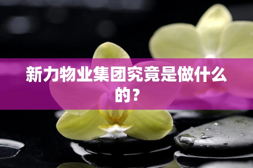 新力物业集团究竟是做什么的？