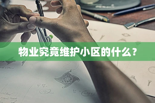 物业究竟维护小区的什么？