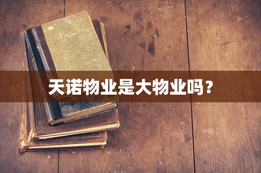 天诺物业是大物业吗？