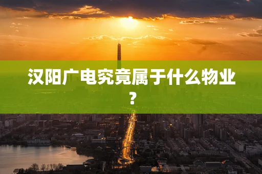汉阳广电究竟属于什么物业？