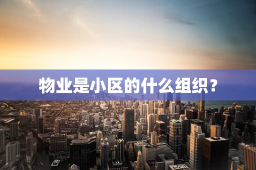 物业是小区的什么组织？
