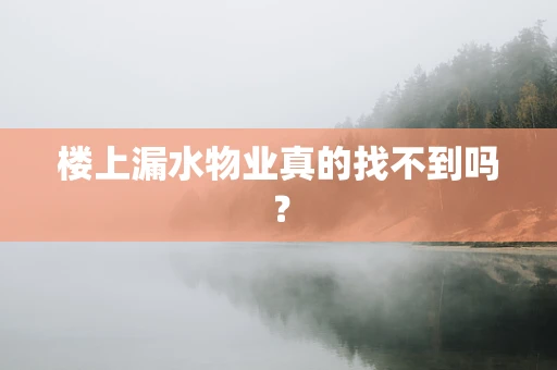 楼上漏水物业真的找不到吗？