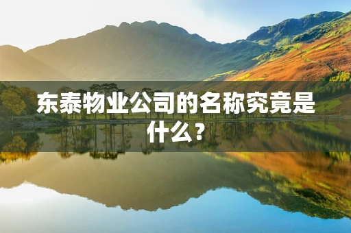 东泰物业公司的名称究竟是什么？