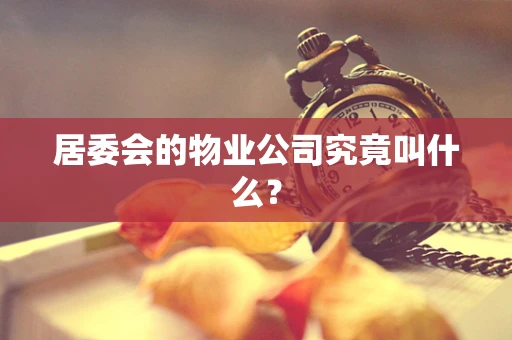 居委会的物业公司究竟叫什么？