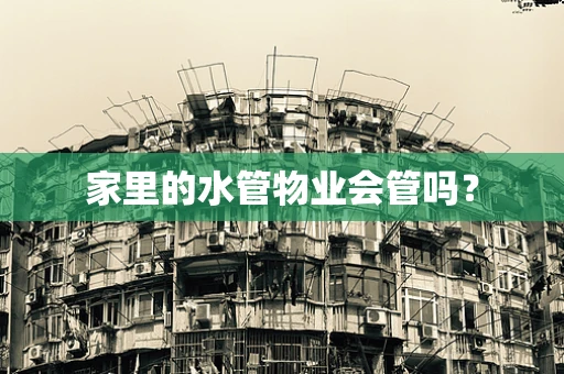 家里的水管物业会管吗？