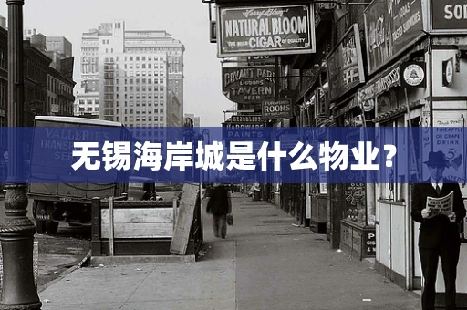 无锡海岸城是什么物业？