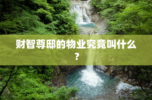 财智尊邸的物业究竟叫什么？