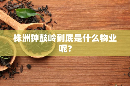 株洲钟鼓岭到底是什么物业呢？
