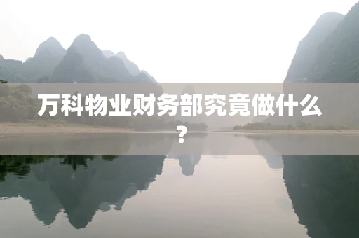 万科物业财务部究竟做什么？