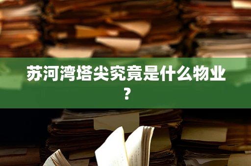 苏河湾塔尖究竟是什么物业？