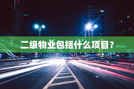 二级物业包括什么项目？
