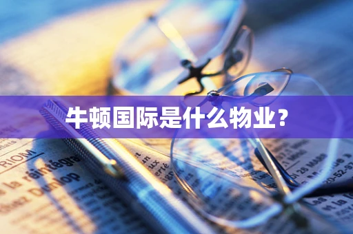 牛顿国际是什么物业？