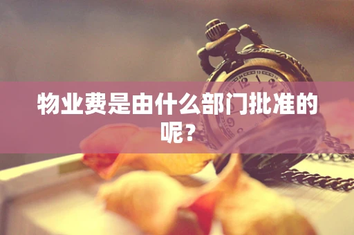 物业费是由什么部门批准的呢？