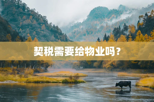 契税需要给物业吗？