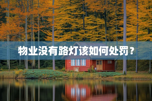 物业没有路灯该如何处罚？