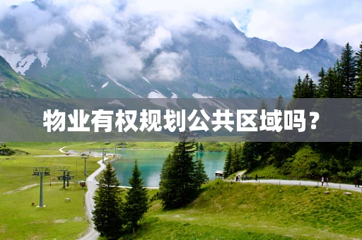 物业有权规划公共区域吗？