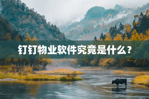 钉钉物业软件究竟是什么？
