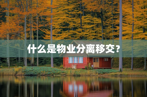 什么是物业分离移交？