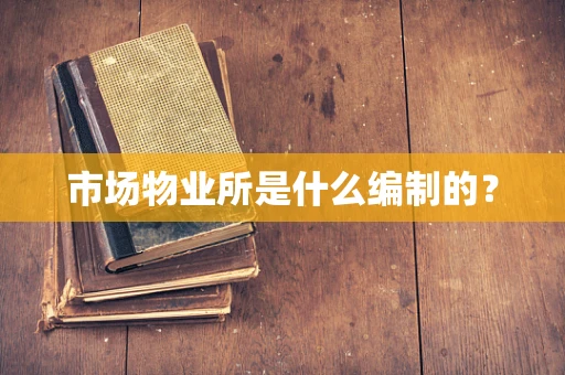 市场物业所是什么编制的？