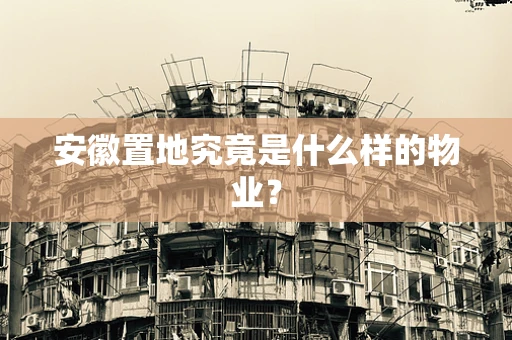 安徽置地究竟是什么样的物业？