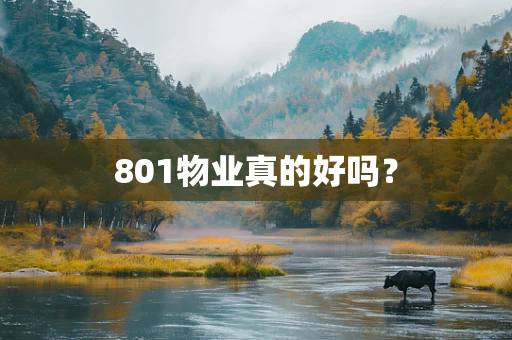 801物业真的好吗？