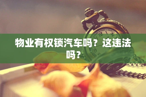 物业有权锁汽车吗？这违法吗？
