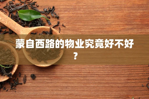 蒙自西路的物业究竟好不好？