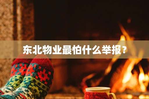 东北物业最怕什么举报？