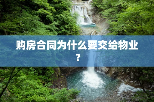 购房合同为什么要交给物业？