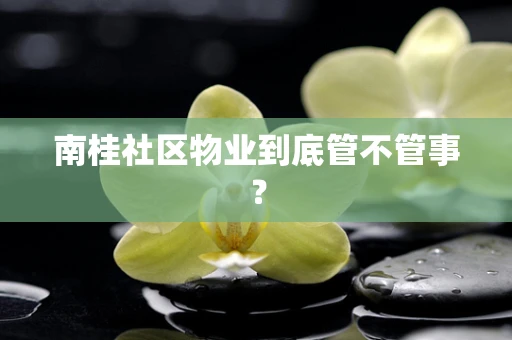 南桂社区物业到底管不管事？