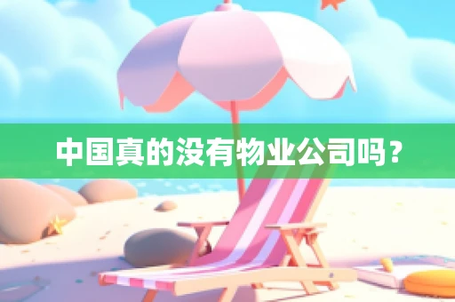 中国真的没有物业公司吗？