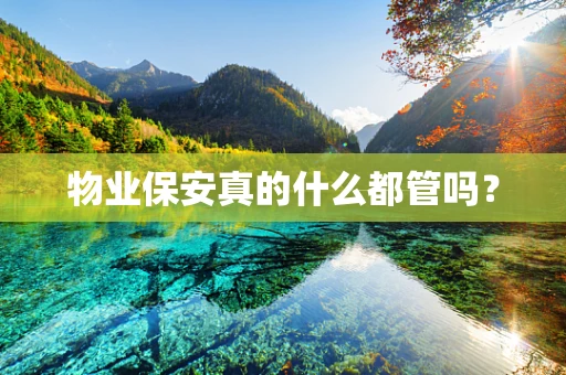 物业保安真的什么都管吗？