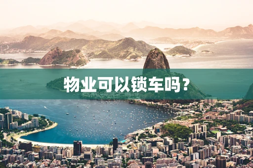 物业可以锁车吗？