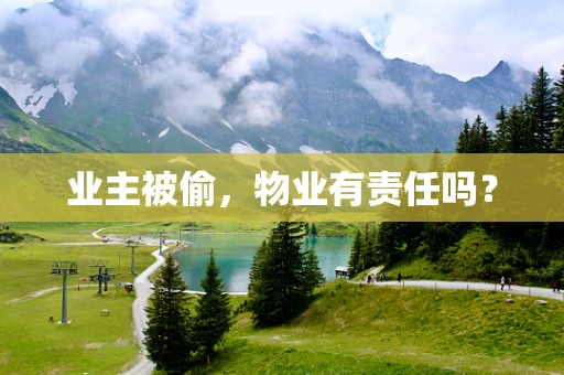 业主被偷，物业有责任吗？