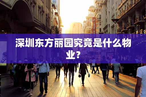深圳东方丽园究竟是什么物业？